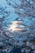 av一区二区-探索AV一区与二区的独特魅力，从技术到体验的深度剖析