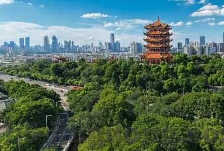 成人av视频在线观看-成人内容与网络伦理，界限与反思
