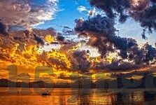 成人高清色视频在线观看-成人高清色视频在线观看，理性审视与安全警示