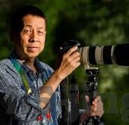 大象视频大全清晰-探索大象视频大全的清晰世界