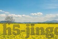 国产一区二区视频在线-国产一区二区视频在线，网络文化的新视角与挑战