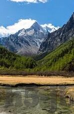 麻豆媒体App-探索麻豆媒体App，数字时代内容消费的新蓝海与挑战