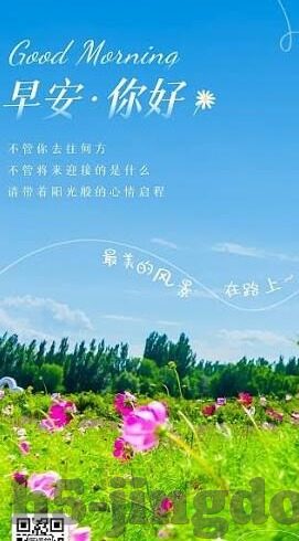 麻豆免费版视频-探讨，麻豆免费版视频在数字时代的多样化影响与作用