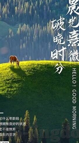 糖心视频app下载安装ios-体验轻松掌握—糖心视频IOS下载与安装秘籍